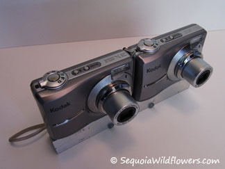 3D Kodak C813